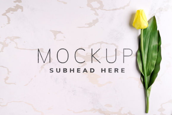 Mockup Card with Tulips: A Practical Evaluation for Designers